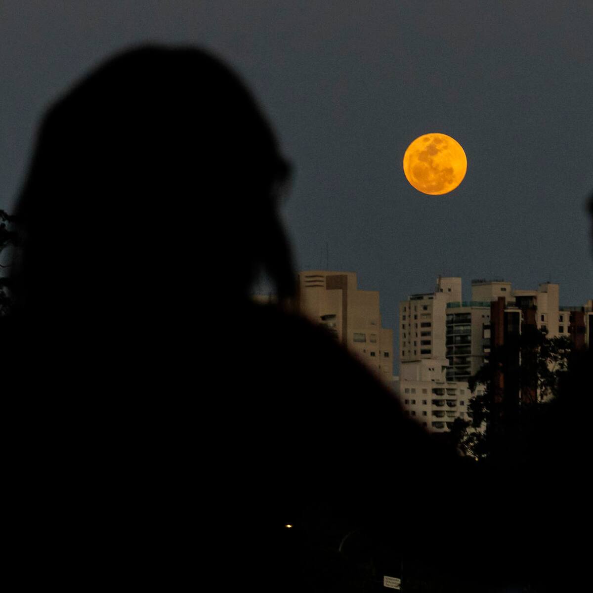 En imágenes | La Superluna azul que no volverá a ocurrir sino hasta 2037