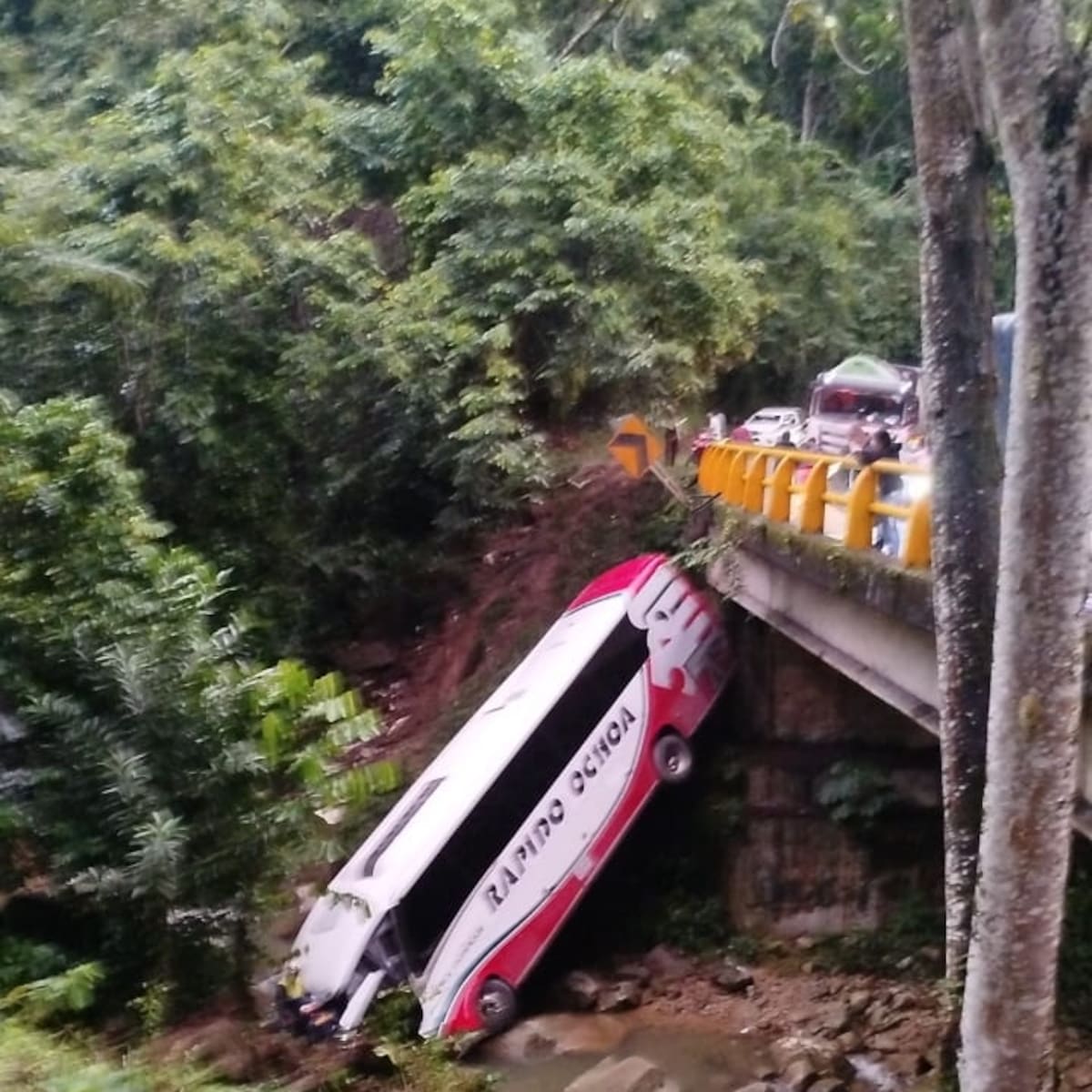 Los hemos atendido: Rápido Ochoa responde a hermana de víctima del accidente en vía Bogotá-Medellín
