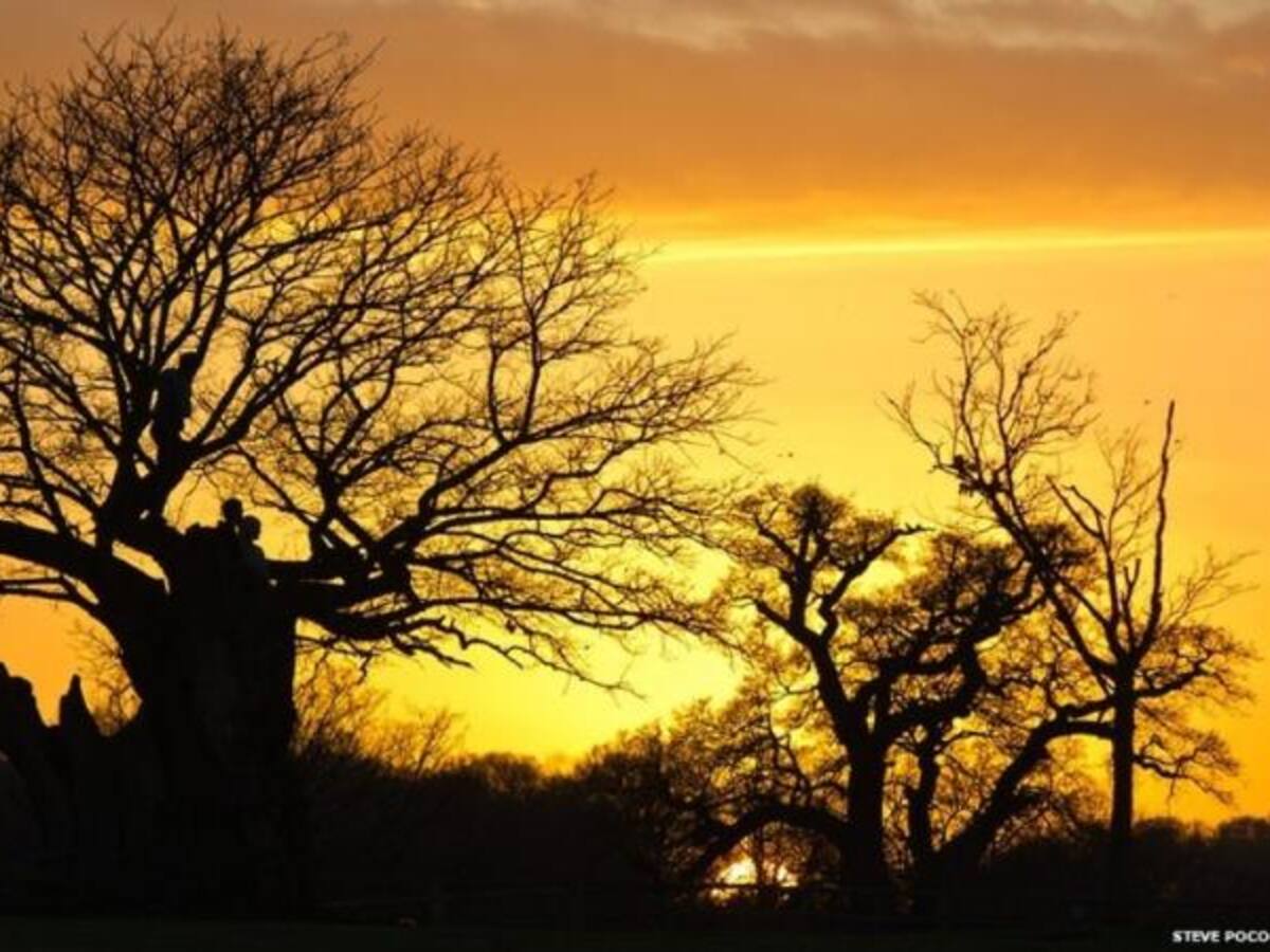 Quirón: el sabio sanador herido