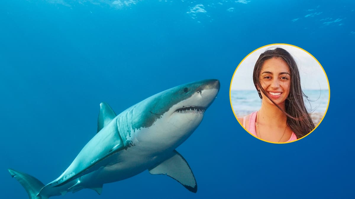 Fotógrafa submarina colombiana relató su experiencia retratando tiburones en reality internacional