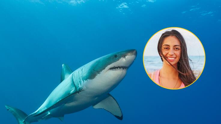 Fotógrafa submarina colombiana relató su experiencia retratando tiburones en reality internacional