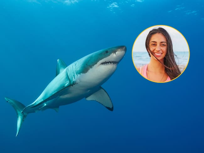 Fotógrafa submarina colombiana relató su experiencia retratando tiburones en reality internacional