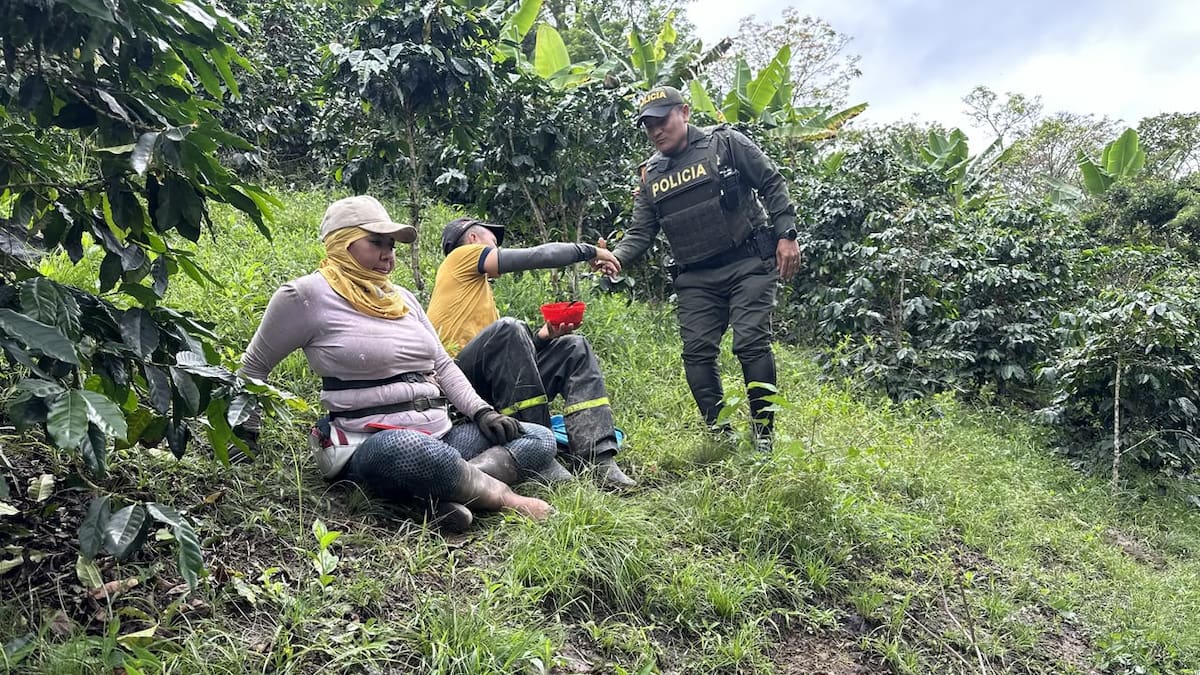 Seguridad reforzada para proteger la segunda cosecha cafetera del Huila