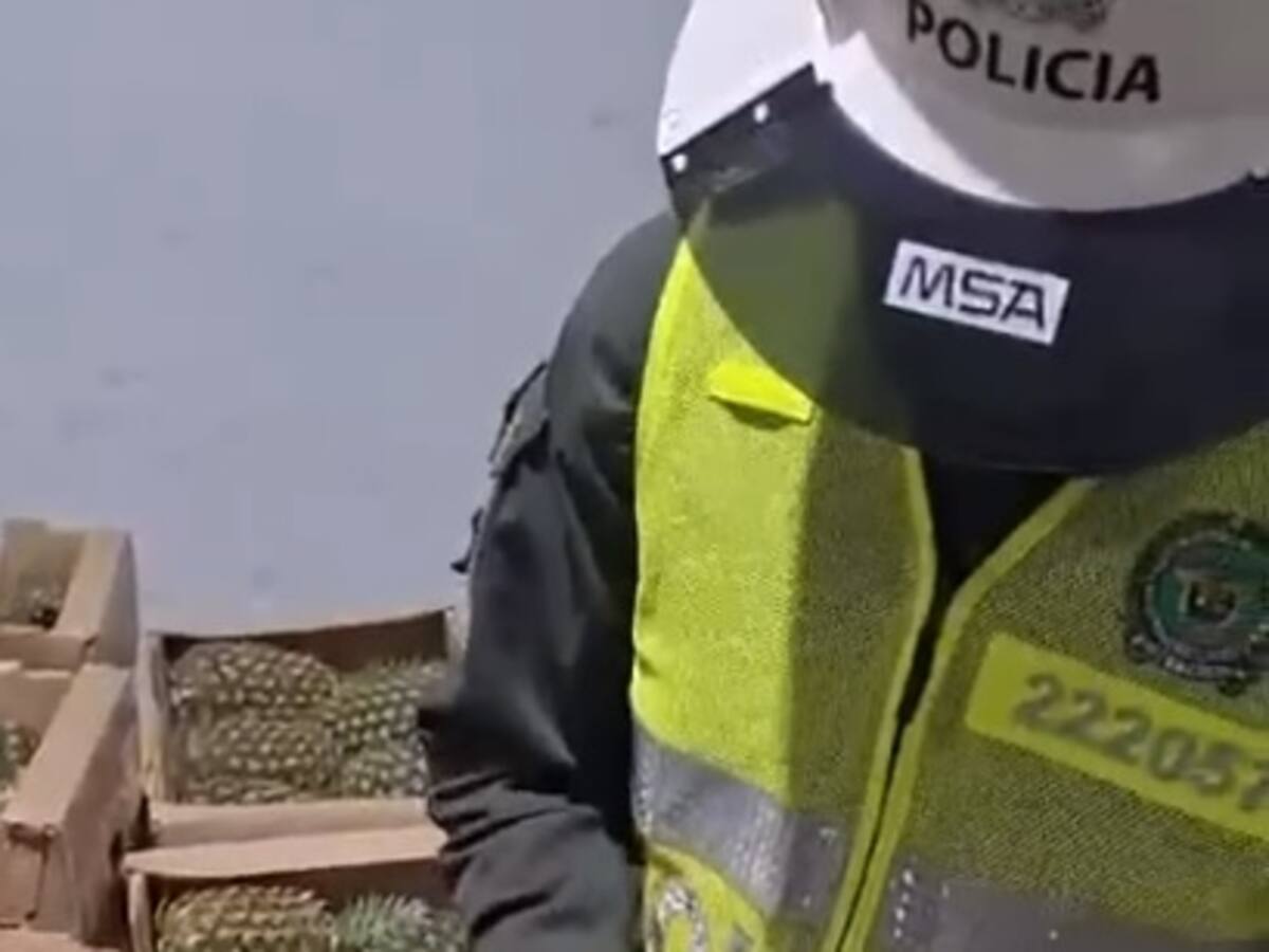 En piñas falsas pretendían enviar cocaína a España desde el Puerto de Cartagena