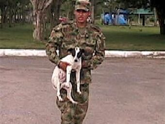 Pepito se recuperó y ha vuelto a jugar con los demás perros del batallón. Foto: Oficial