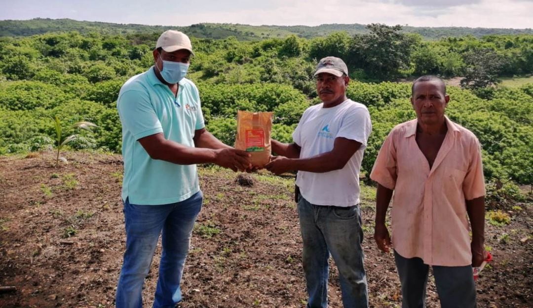 Semillas de maíz, melón, frijol, ajonjolí, ají topito y auyama. En promedio se entregó kilo por productor