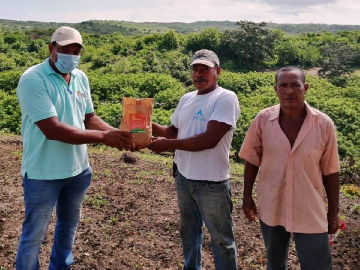 UMATA entregó semillas a agricultores de Arroyo Grande