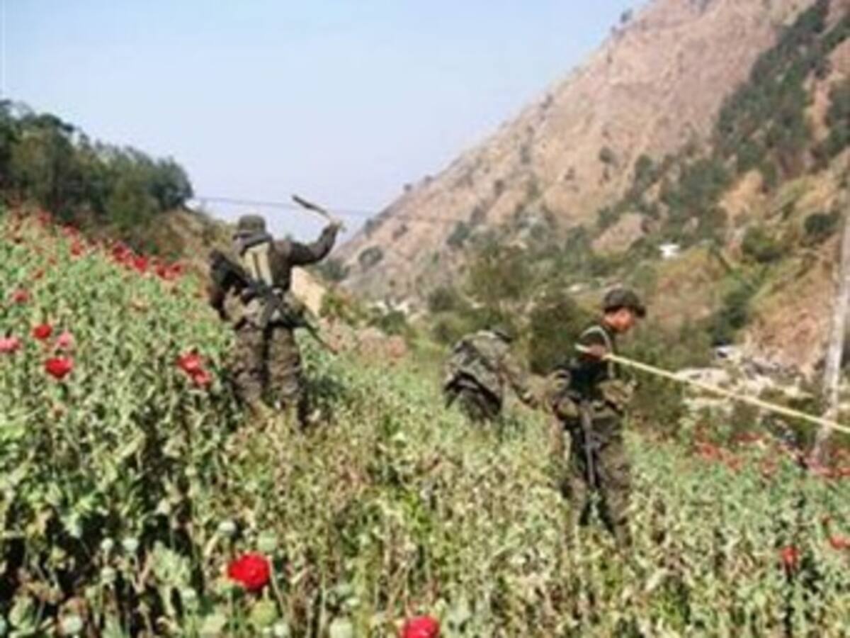 Ejército entrega balance de lucha contra el narcotráfico
