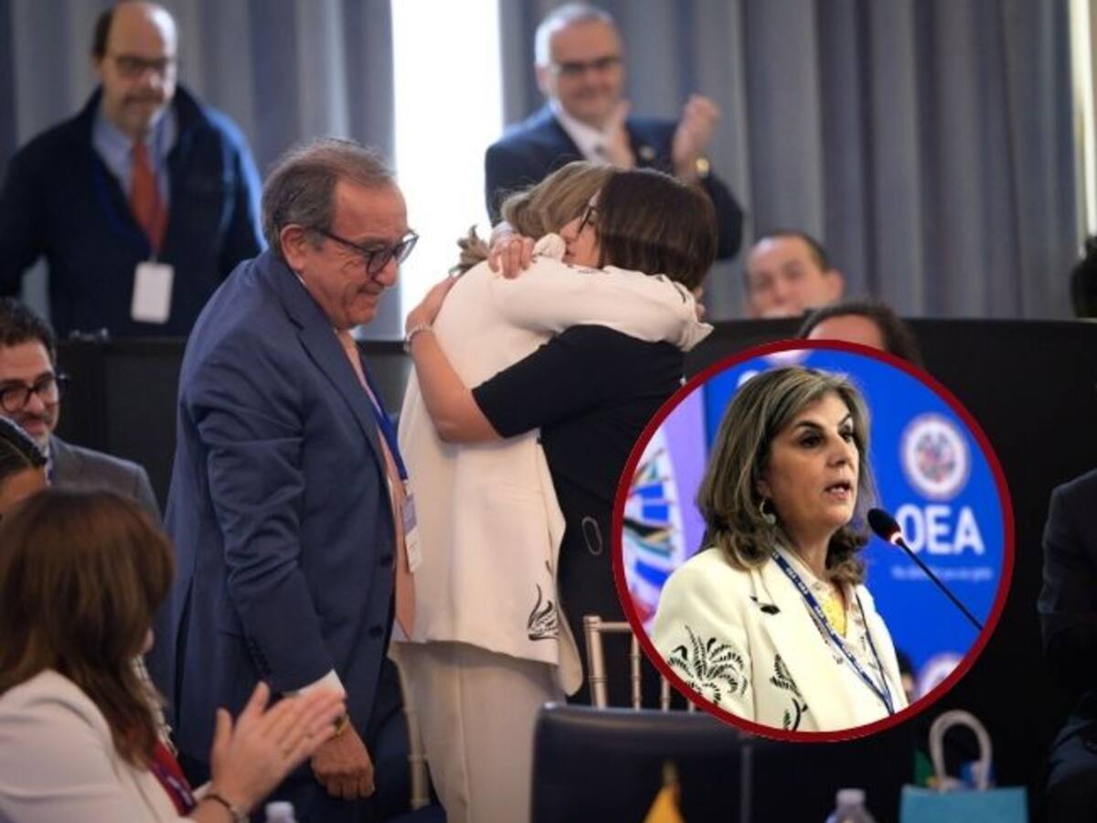 He criticado la OEA, ahora puedo ayudar a corregirla; necesitamos transparencia: Laura Gil
