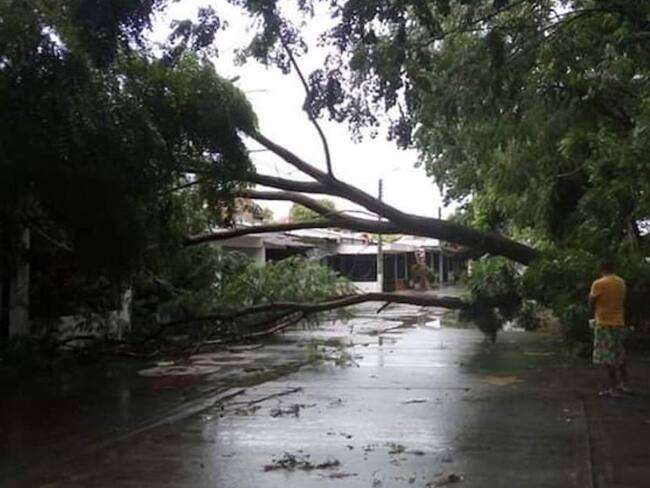 Vendaval afecta a varias familias en el Espinal, Tolima