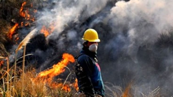 En lo que va del 2013 se han presentado 12 incendios forestales