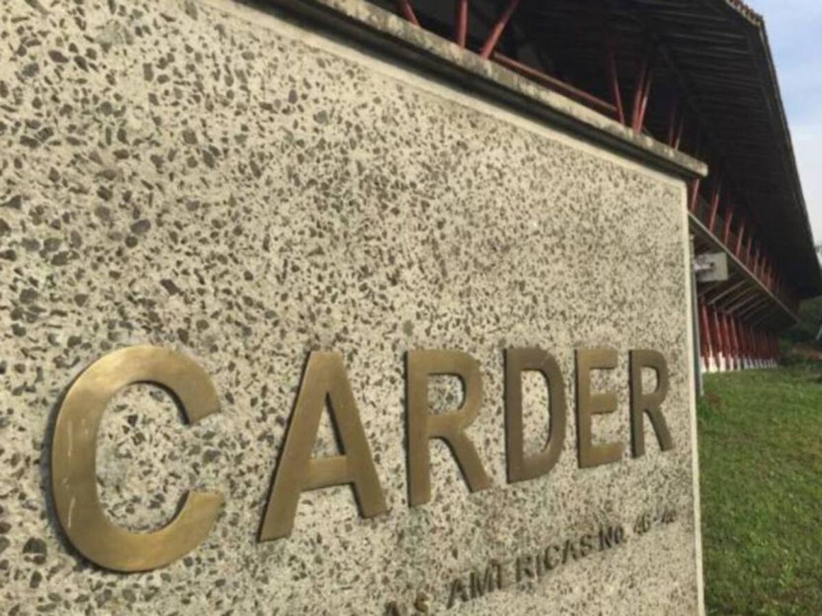 Esta semana será elegido el director encargado de la Carder