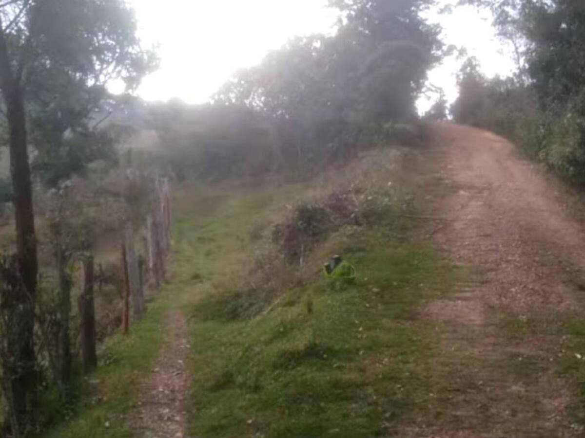 Dos presuntos ladrones murieron en medio de un atraco