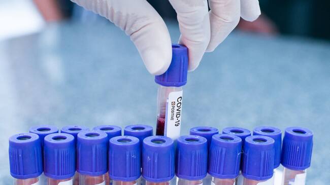 Imagen de referencia