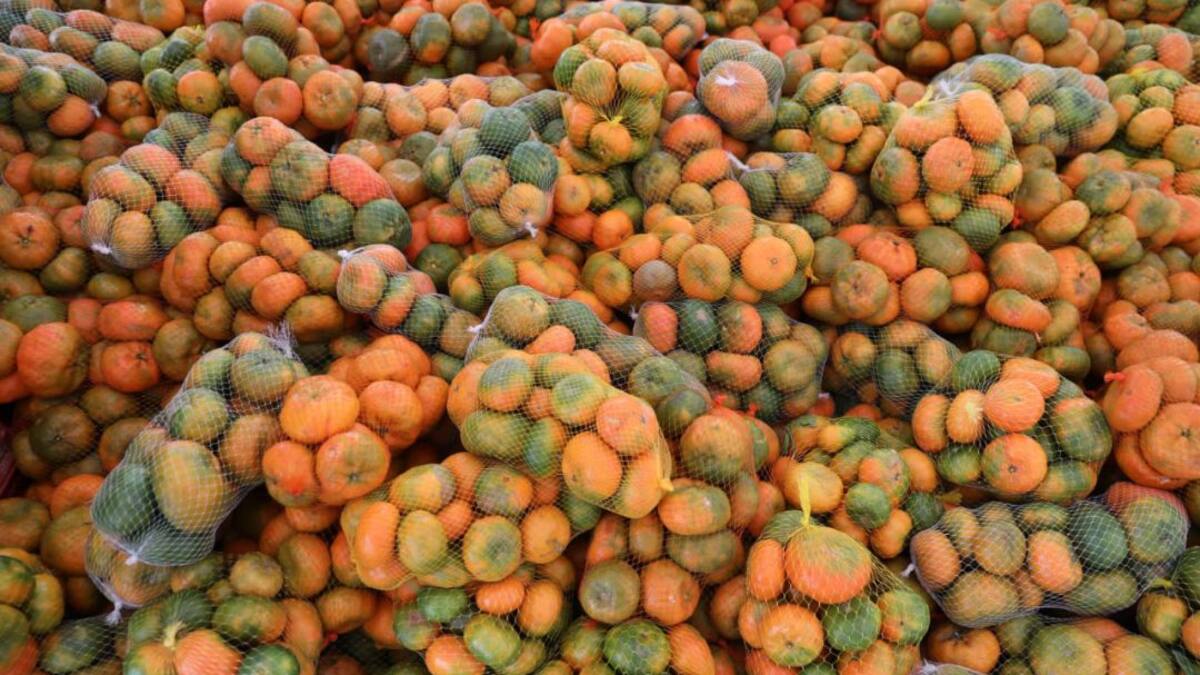 Poder vender, la clave para reactivar el sector agrícola