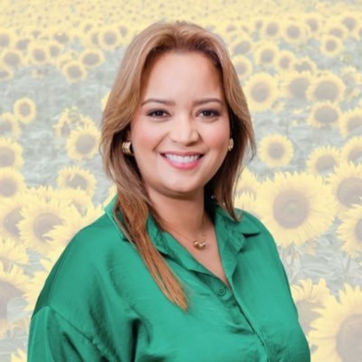 Diputada del Magdalena Rosita Jiménez víctima de atentado