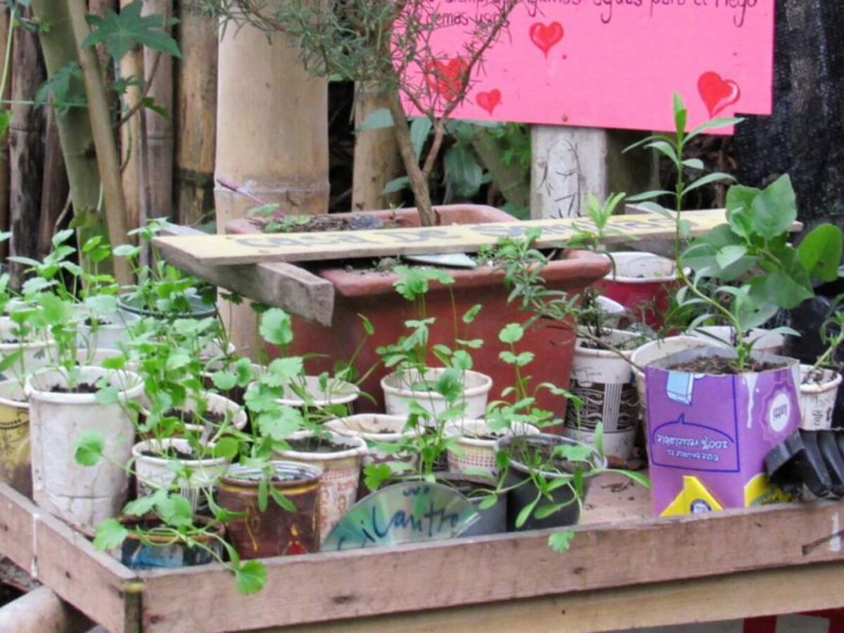 Familias caldenses reciben apoyo para seguridad alimentaria