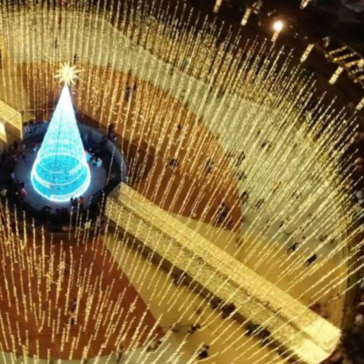 Pereira encenderá su alumbrado navideño el próximo 7 de diciembre