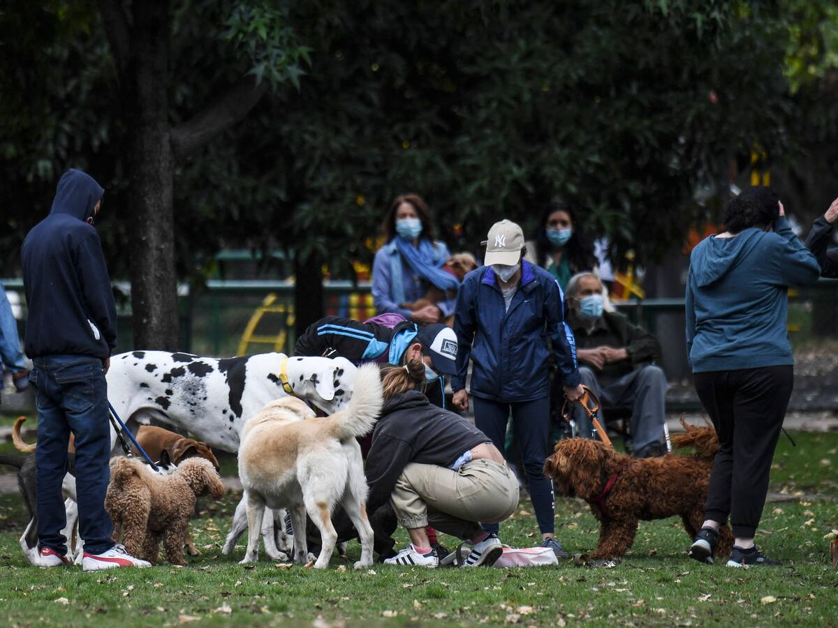 Fiscalía abrió indagación por el caso de 15 perros muertos en zona rural de Ciudad Bolivar