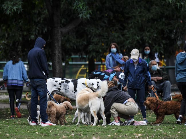 Fiscalía abrió una indagación por el caso de 15 perros muertos en zona rural de Ciudad Bolívar, Bogotá