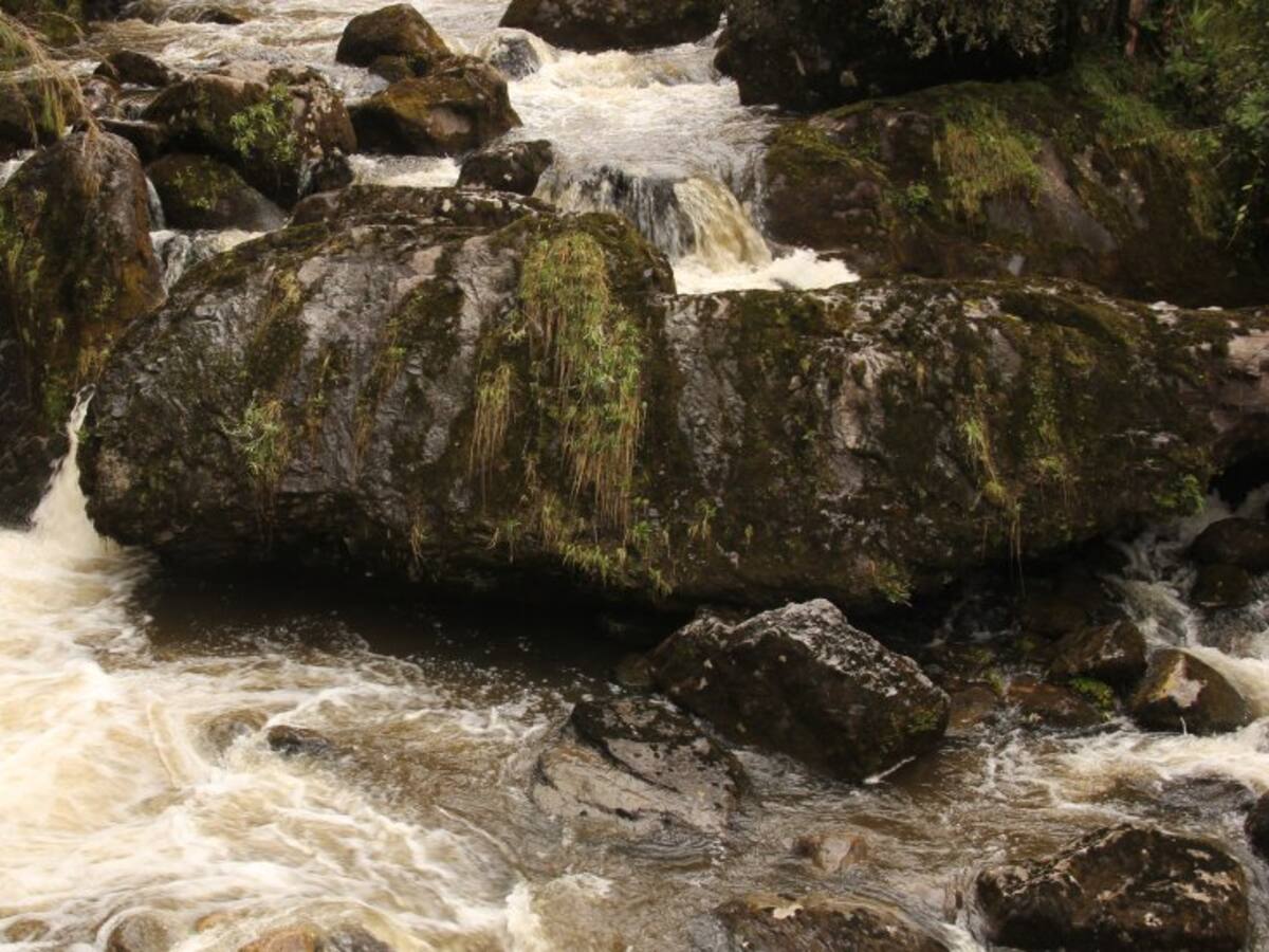 Bogotá fortalecerá protección de 3.500 hectáreas estratégicas para el agua mediante nuevo convenio