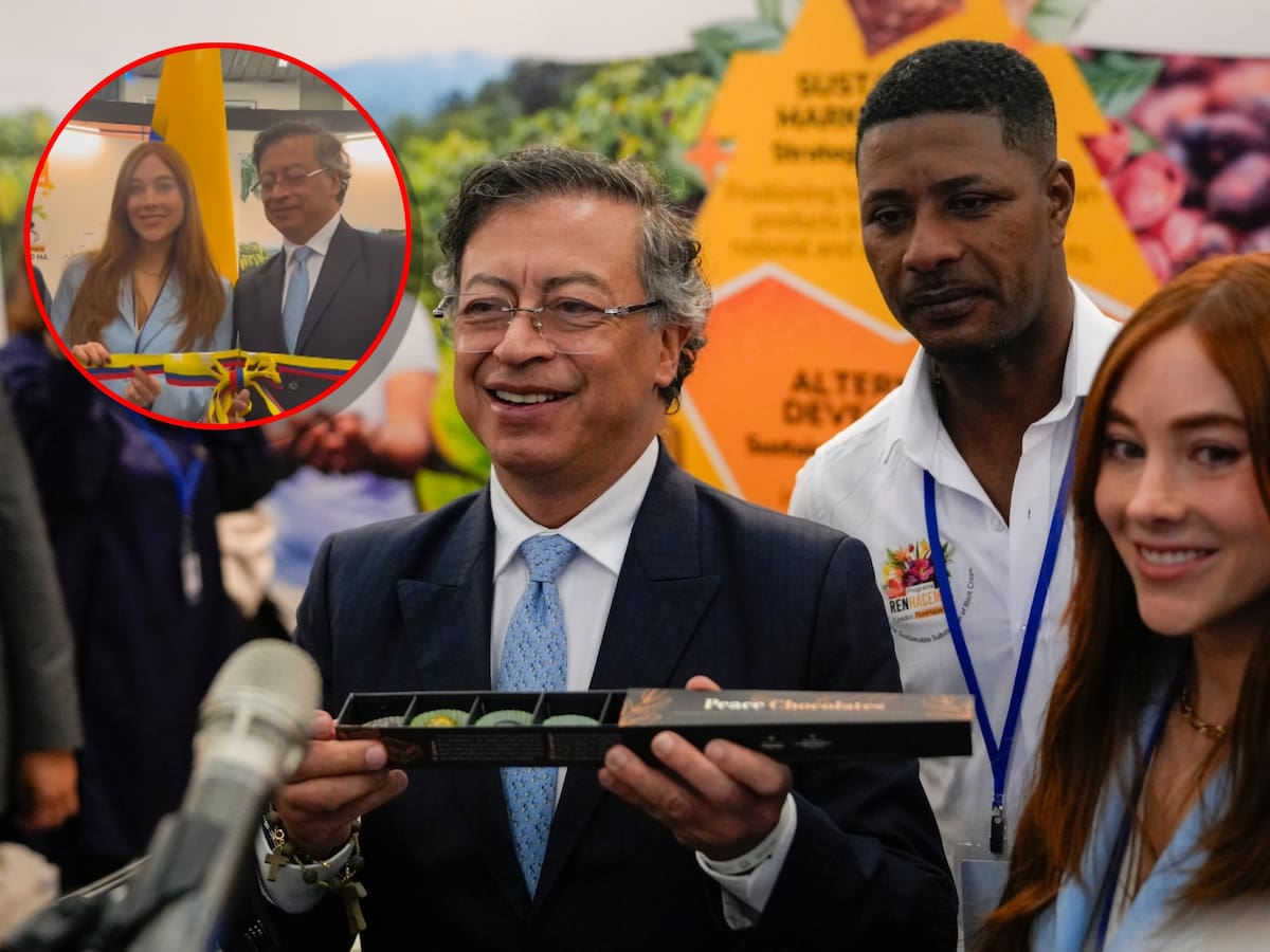 Así es ‘Peace Chocolate’, alternativa del Gobierno y de campesinos para sustituir cultivos ilícitos