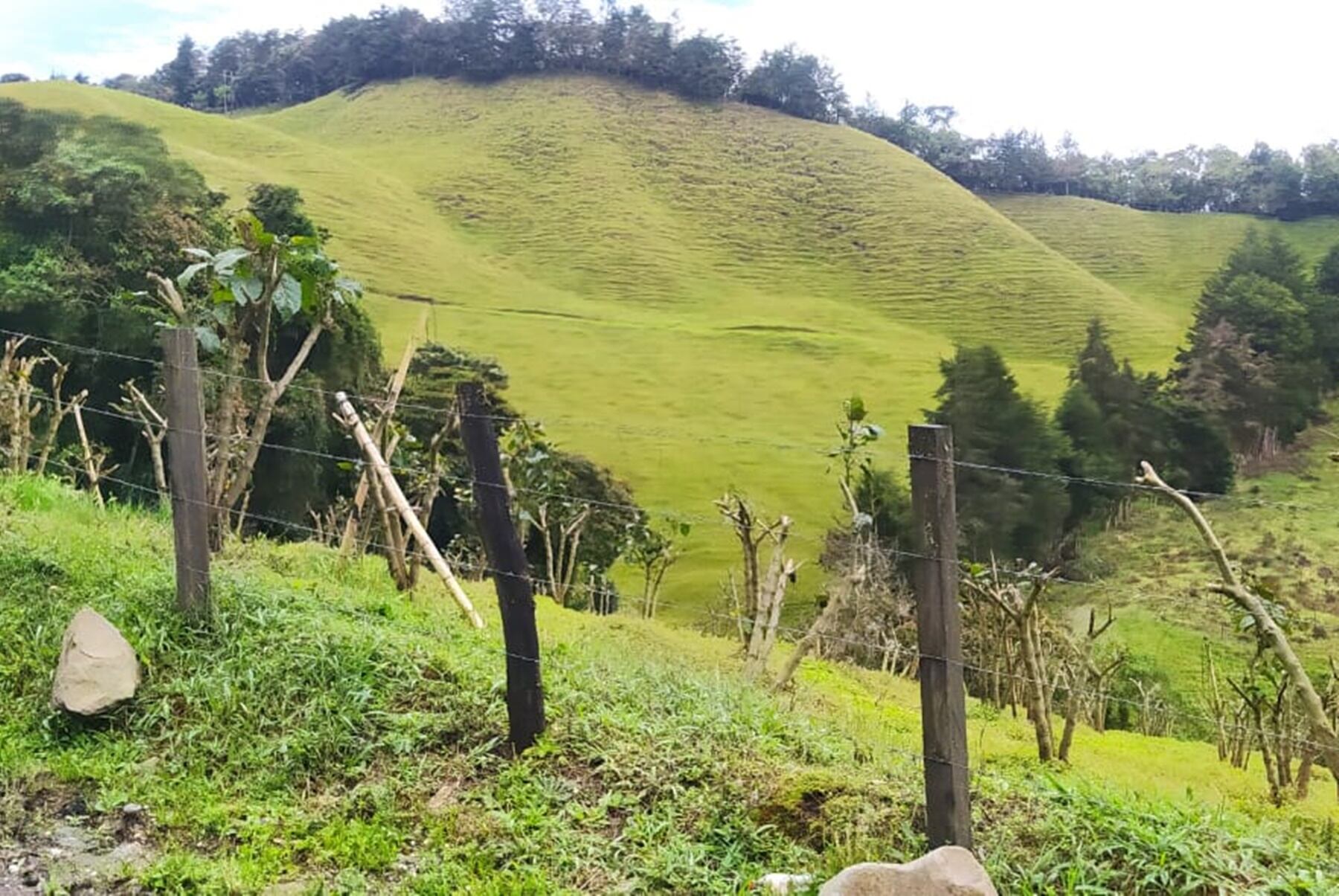 Montañas Murillo, Tolima