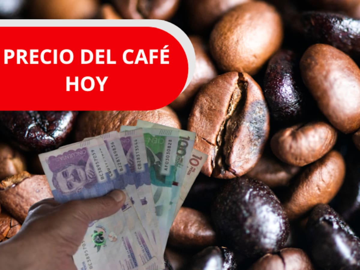 Precio del café en Colombia para HOY, 12 de febrero, según FNC: reportan ligera alza