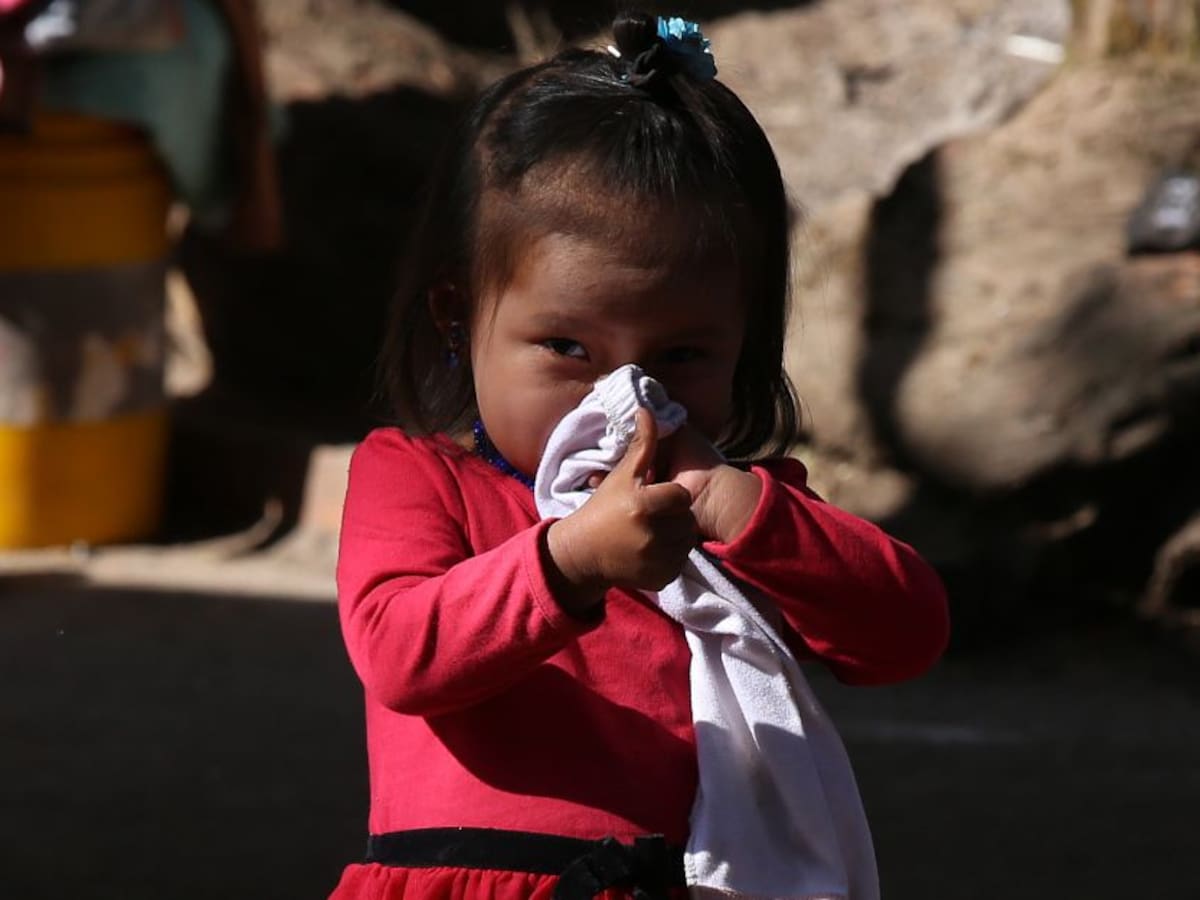 Piden restablecimiento de derechos para niños emberas en el Parque Nacional