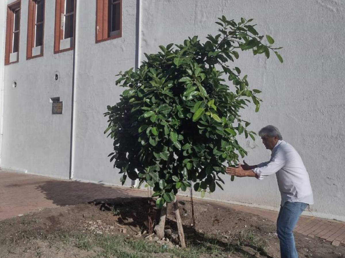 Advirtieron posibles fallas en intervención del 'Palito de Caucho'