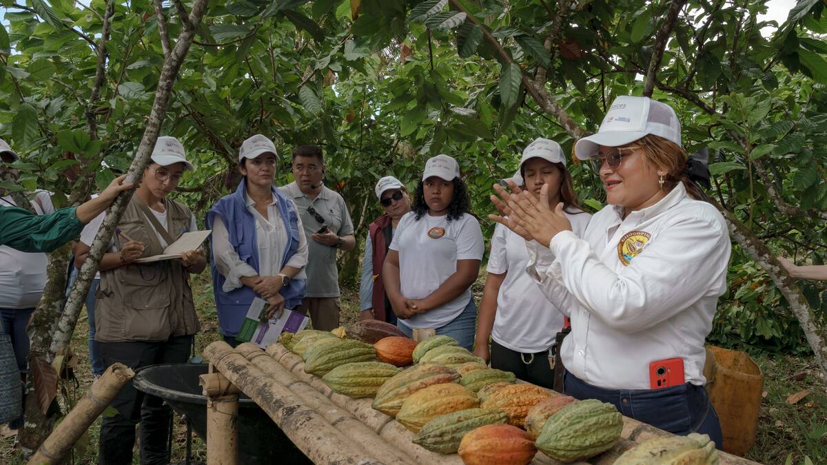Avanza el proyecto ‘Raíces, mujeres sembradoras del cambio’