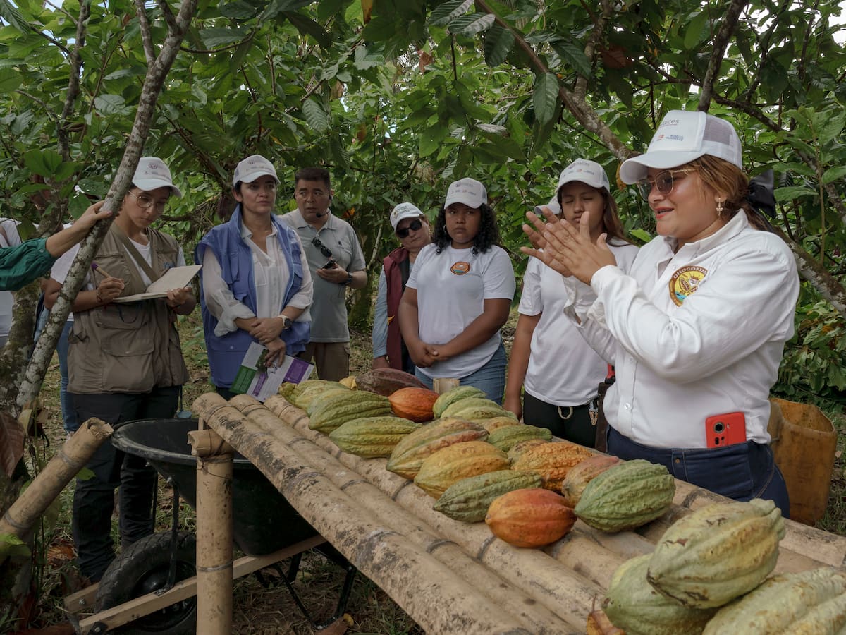 Avanza el proyecto ‘Raíces, mujeres sembradoras del cambio’