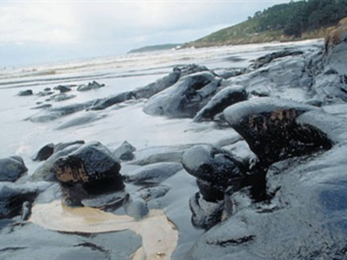 Vertido de petróleo amenaza con desastre ecológico en costa de Nueva Zelanda