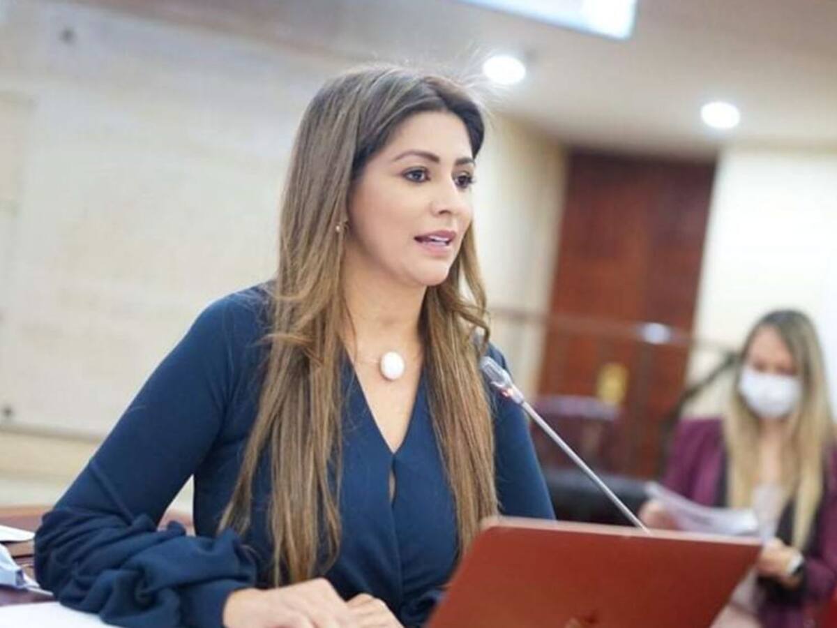 Se designó más pie de fuerza en Tolima para evitar acciones violentas del EMC: gobernadora