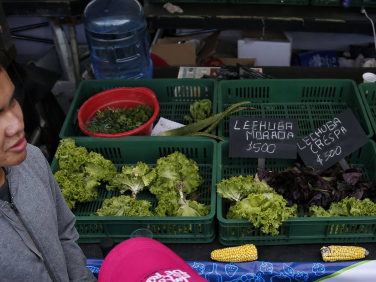 Altibajo de precios de alimentos en medio de la cuarentena