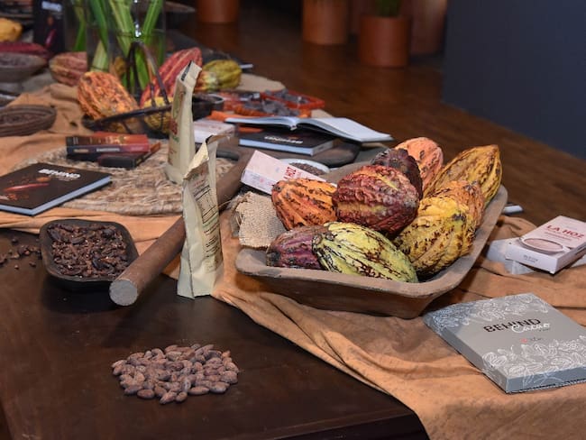 Behind Cacao, el libro que narra el impacto del Cacao en las familias nariñenses | Foto: Diego Caucayo, Ayuda en Acción