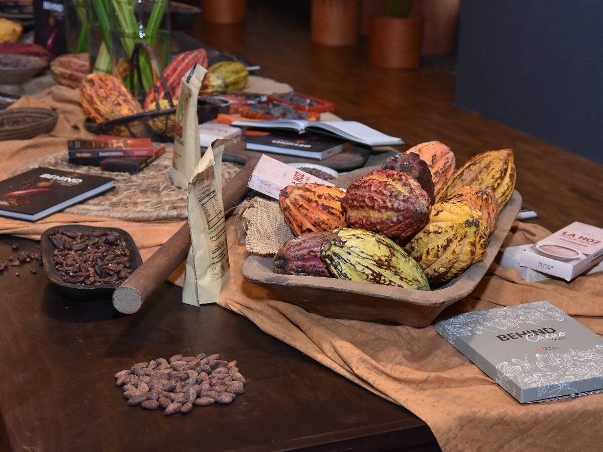 Más de mil familias se benefician del Cacao en Nariño