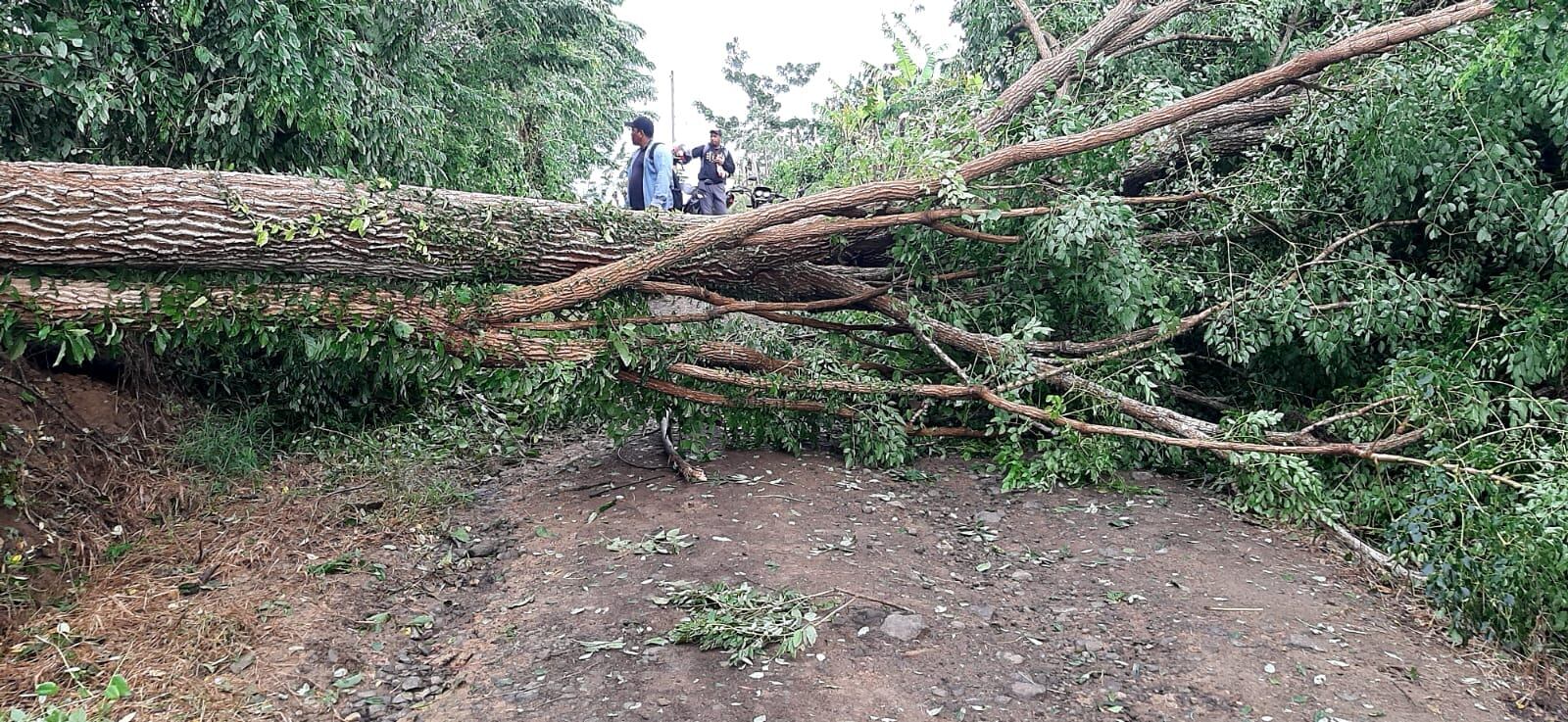 Foto de Martin Santana.