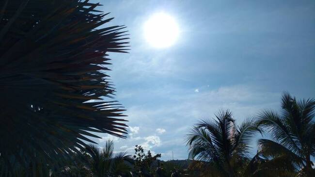 En Antioquia se reportan temperaturas hasta de 36° grados celsius.