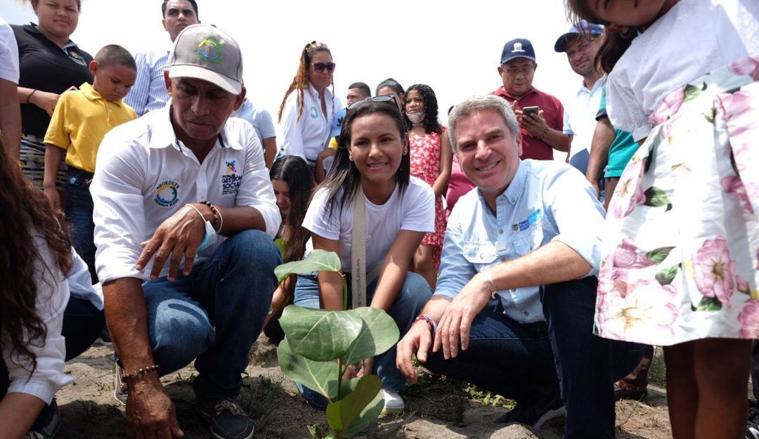 Siembra de uva playera en Ciénaga, Magdalena