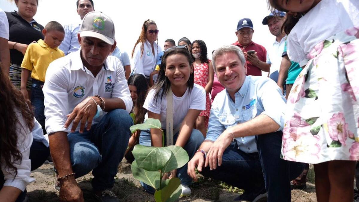 Inició la siembra de 1.5 km de uva playera en Ciénaga, Magdalena