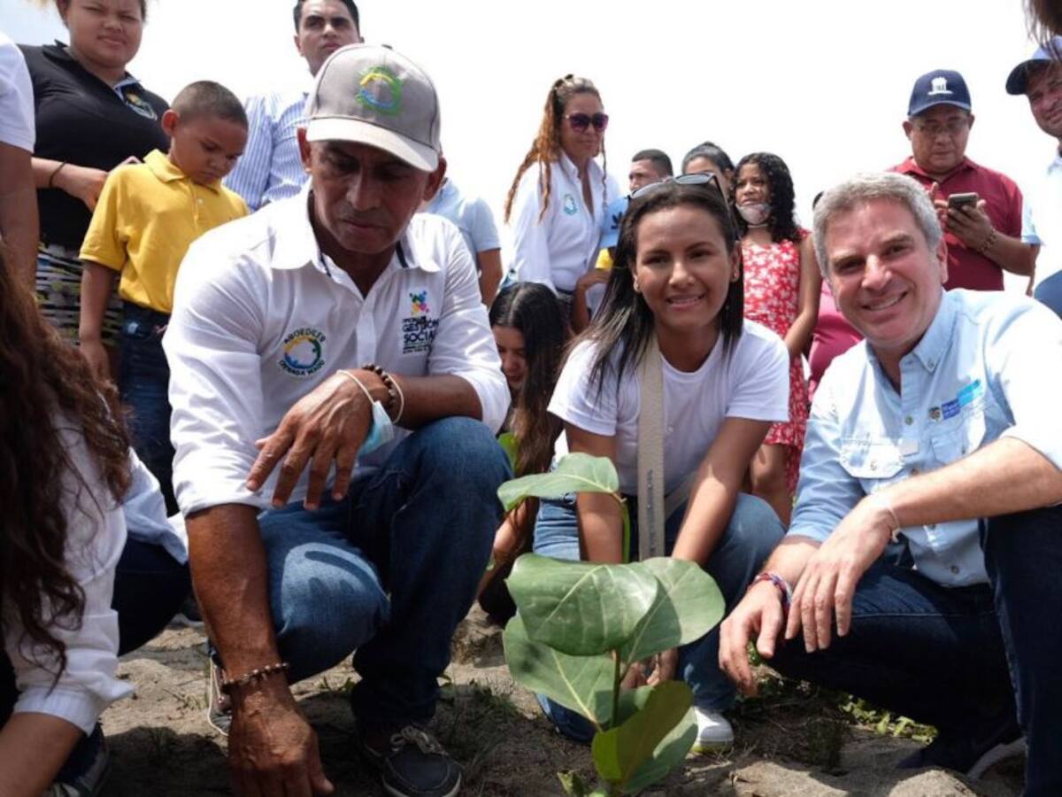 Inició la siembra de 1.5 km de uva playera en Ciénaga, Magdalena