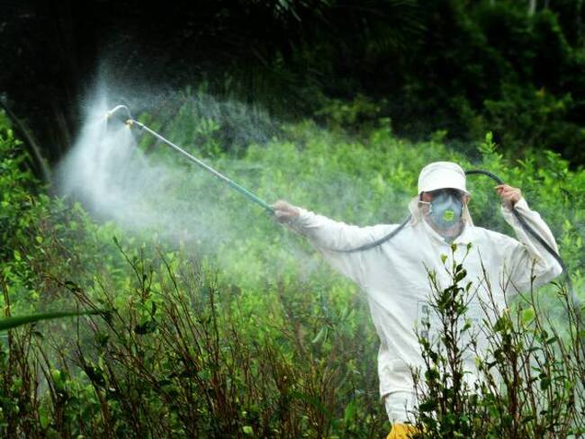 Gobierno estudia sustancia para retomar la fumigación de cultivos ilícitos