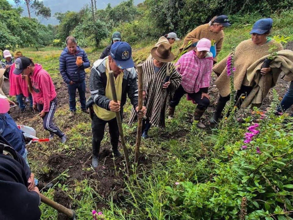 Corpoboyacá transforma suelos degradados y fortalece la producción campesina