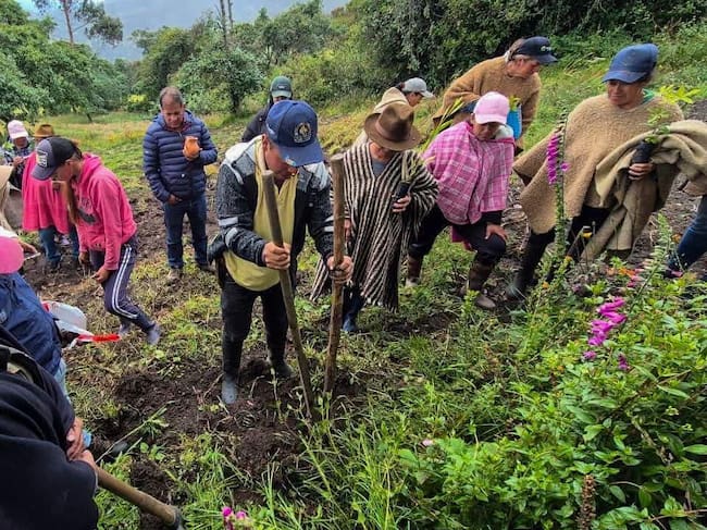 El objetivo de Corpoboyacá con este proyecto es que los campesinos puedan recuperar sus tierras y volverlas más fértiles / Foto: Corpoboyacá.