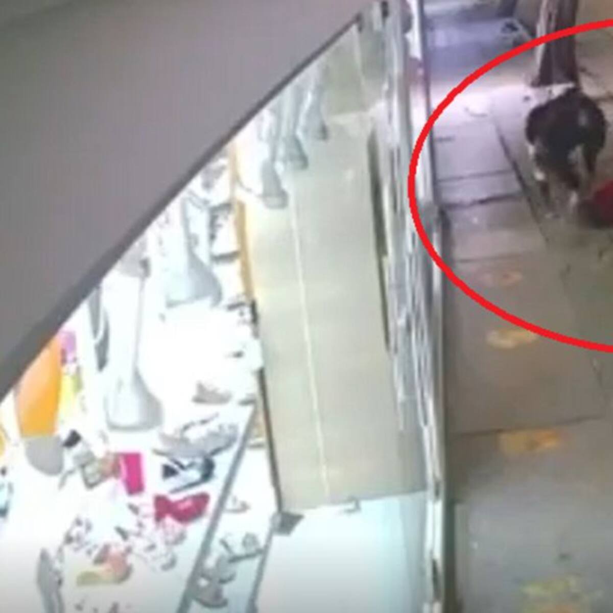 Hurtos y sicariatos, el dolor de cabeza de las autoridades de Santa Marta