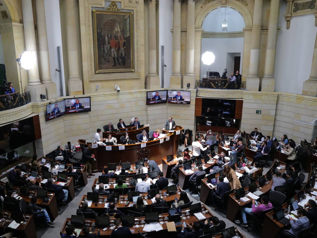 Sin servicio social para la paz, plenaria aprueba proyecto de Paz Total