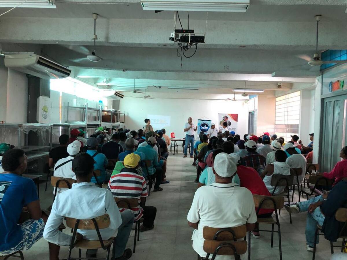 Mayor protección a los animales pidieron campesinos y propietarios de VTA en Cartagena