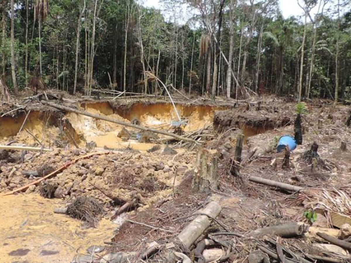 Proyectos agroambientales de Visión Amazonía apalancan el desarrollo sostenible en Guaviare