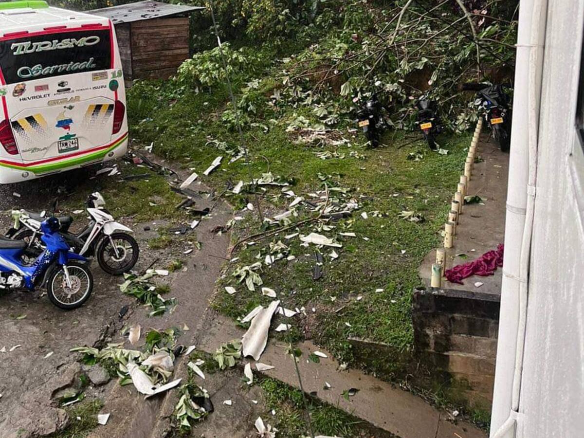 123 viviendas afectadas por vendaval en San Luis, Antioquia